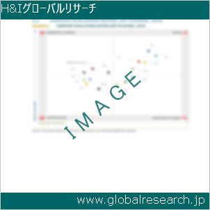 グローバルリサーチ調査レポートのイメージ